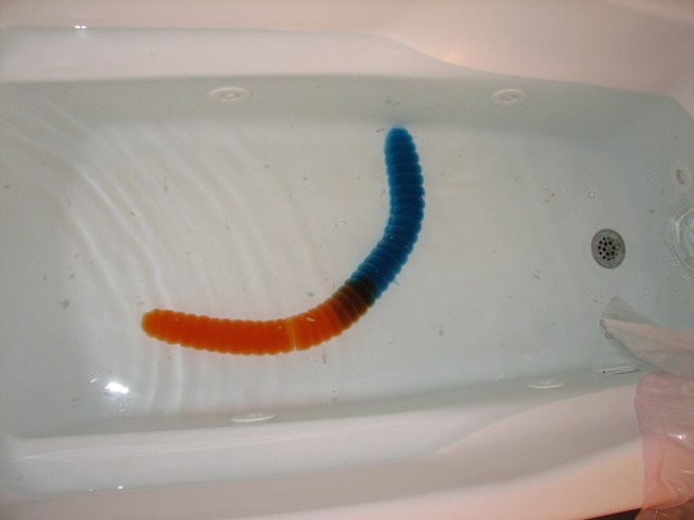 IMG_5331 The Spice Extends Life