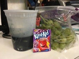 Grape-flavored...grapes??? Oh yeah!